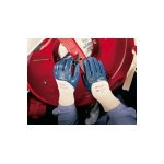 Ansell Hylite Gloves